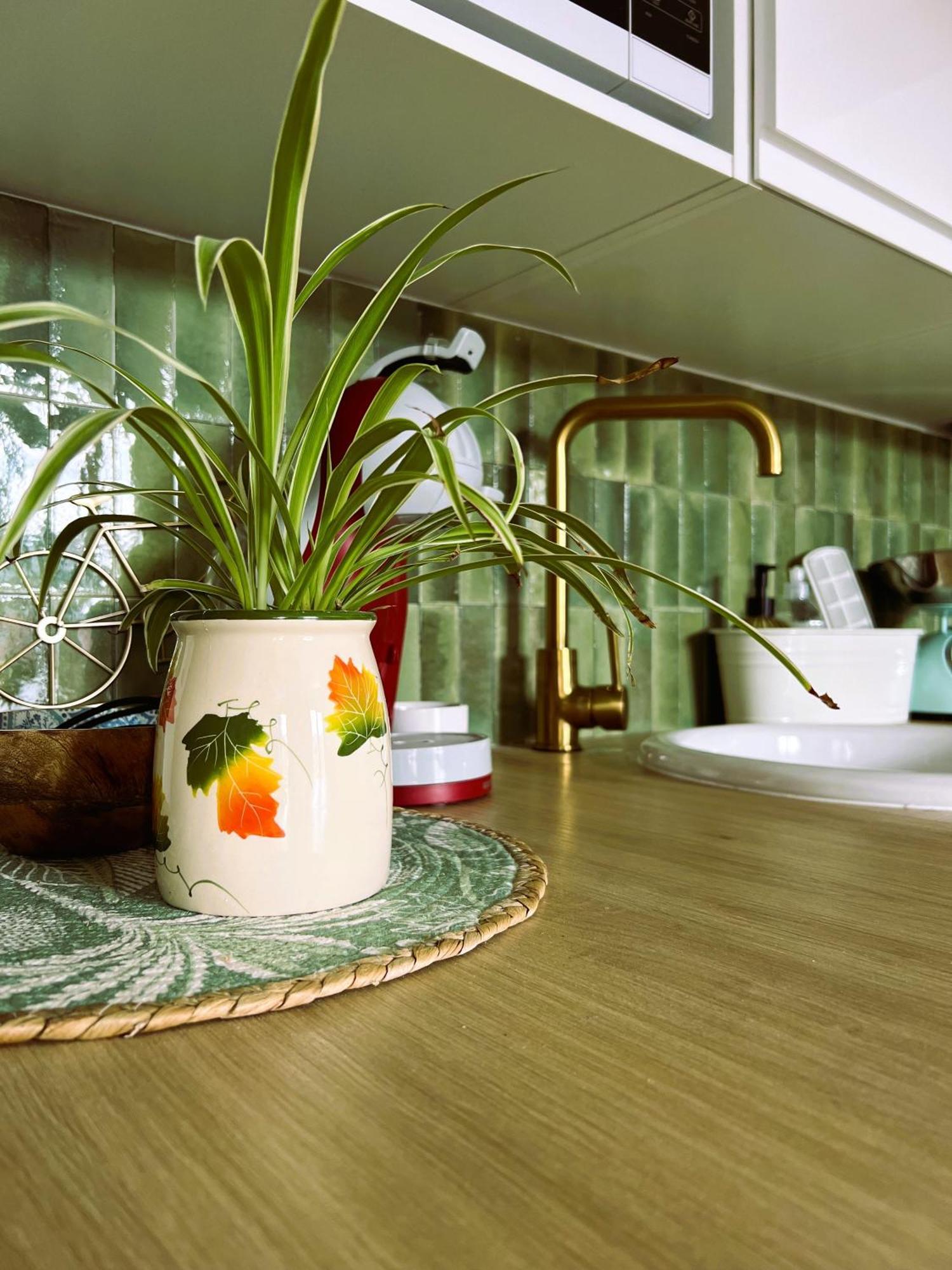 Appartement Nid Douillet Mers-les-Bains Esterno foto