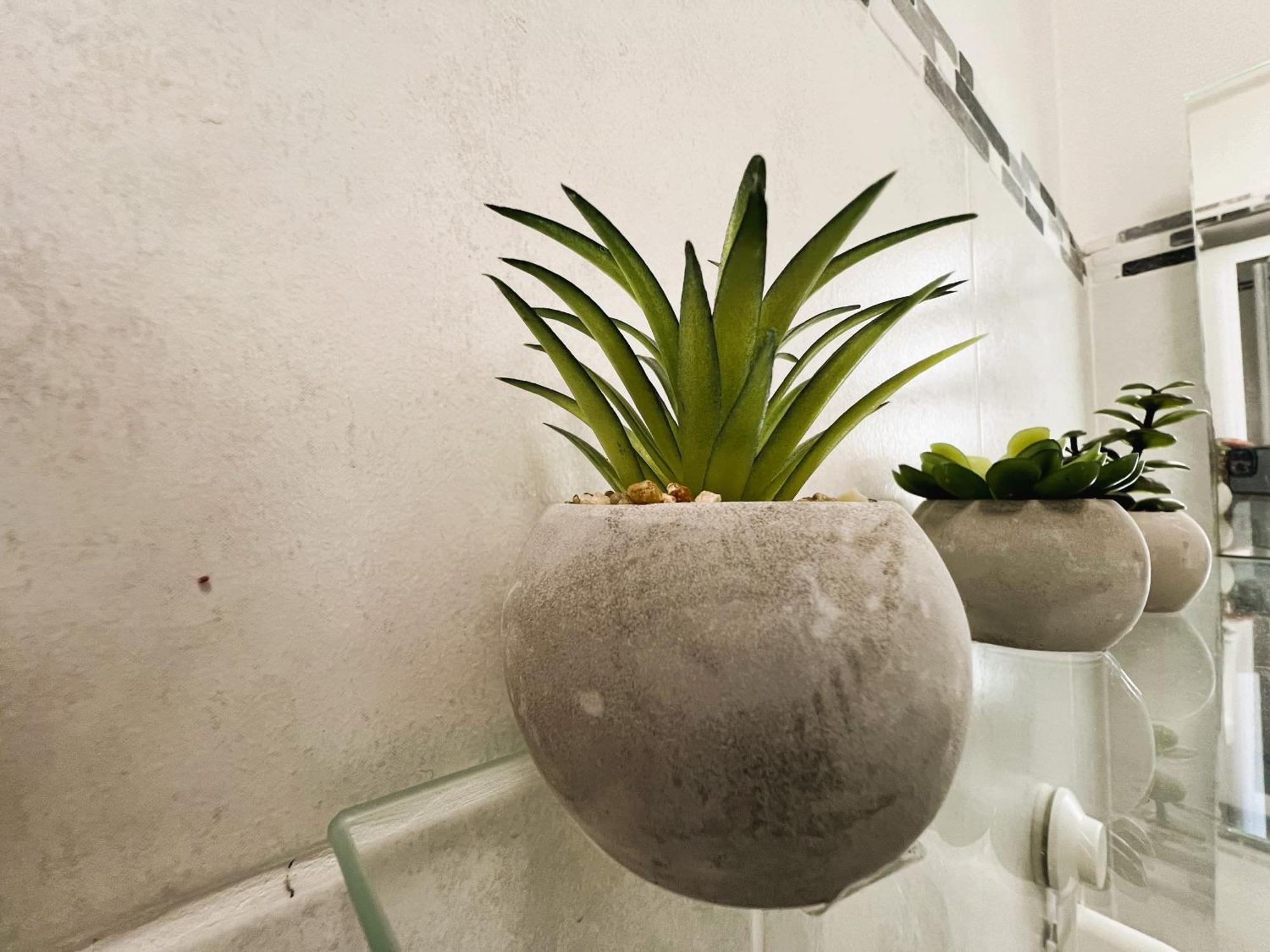 Appartement Nid Douillet Mers-les-Bains Esterno foto